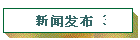新闻发布 3