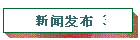 新闻发布 3