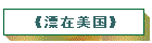 《漂在美国》